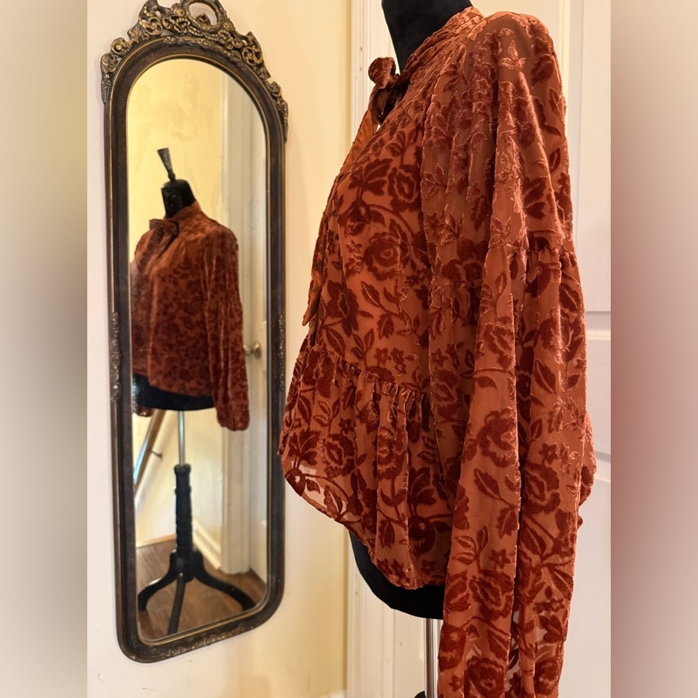 Anthropologie Rust Red Velvet Tie Front Blouse with Relaxed Sleeves - Picture 5 of 10